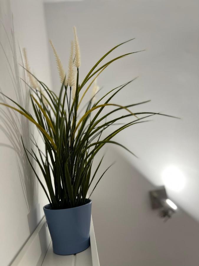 Adele Apartment Costa Adeje Dış mekan fotoğraf
